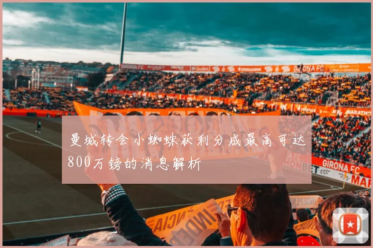曼城转会小蜘蛛获利分成最高可达800万镑的消息解析